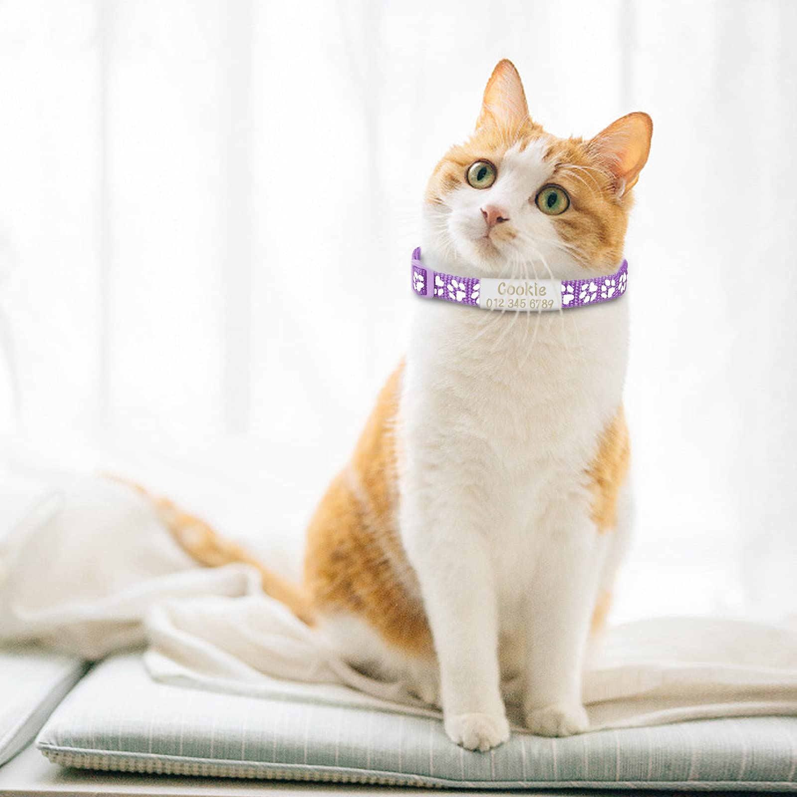 Pack De 2 Collares Para Gato Antiahogo + 2 Chapas Grabadas - Ajustables Con Campana Y Hebilla De Seguridad