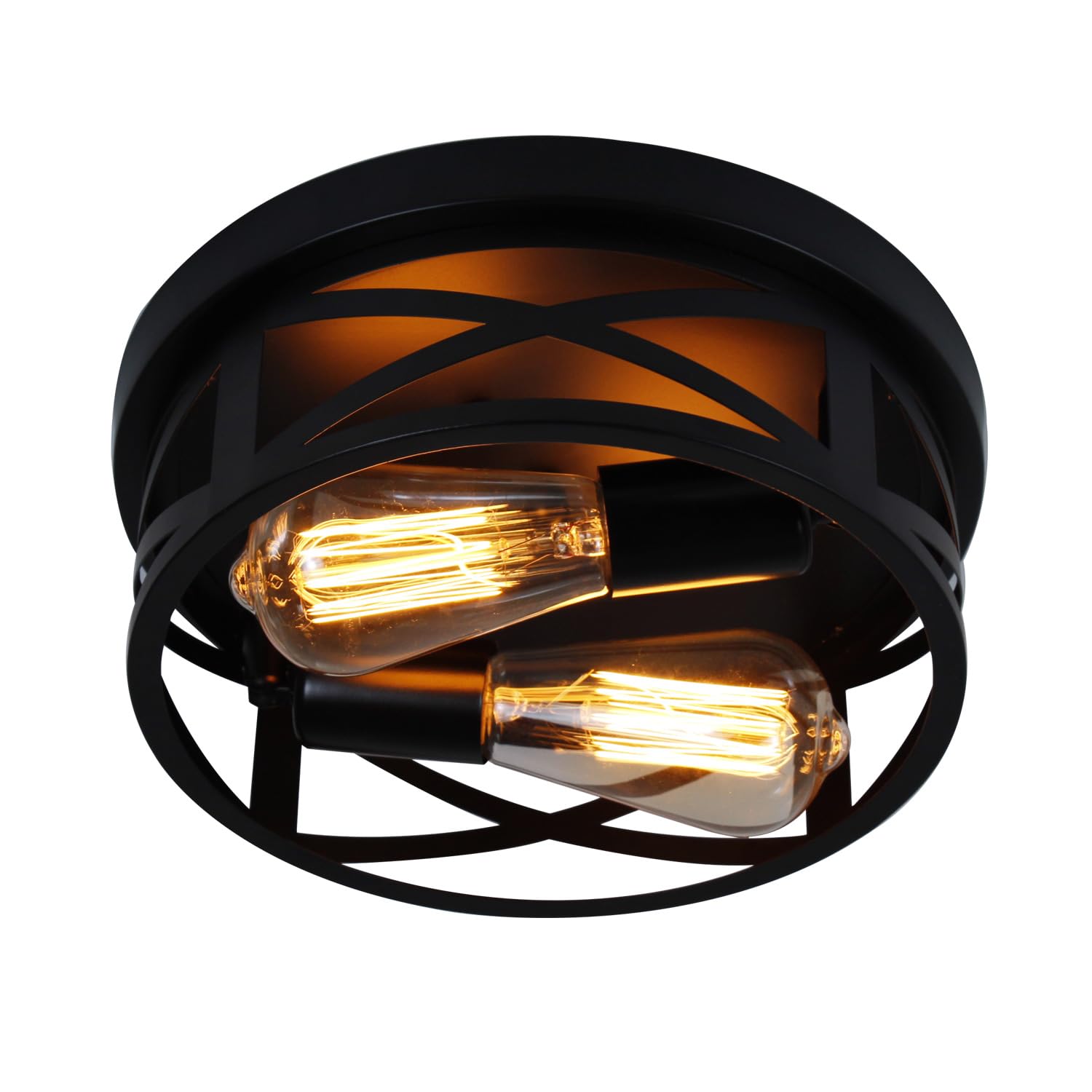 2-Light Flush Mount Ceiling Light Fixtures - 10.6in Adjustable Lamp Head Industrial Metal Cage Light Fixtures Ceiling Mount for Farmhouse Hallway Bedroom Kitchen Entryway