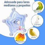 Ver la foto 7