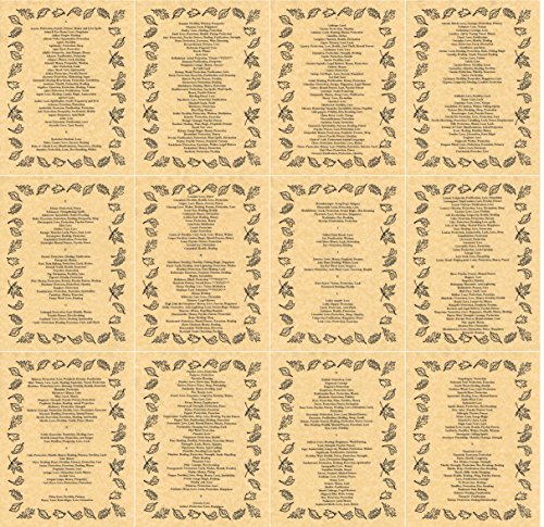 The Grimoire Set of 13 Book of Shadows Pages on Herbalism, Wicca, Witchcraft (Gold)