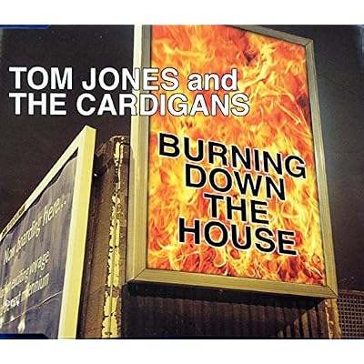 Burning Down The House