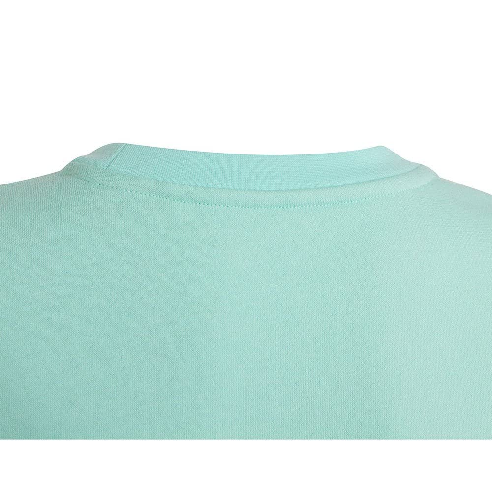 adidas Uniseks - dzieci Entrada 22 Sweat Top, Clear Mint, 11-12 Years