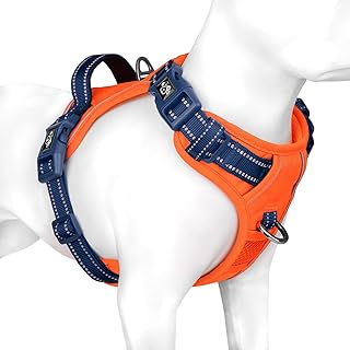 PHOEPET No Pull Hundewestengeschirr, verstellbares, reflektierendes, Nicht erstickendes Haustiergeschirr mit einfach zu bedienendem Griff und Metallklammern für Hunde(Orange Basis & Blaue Träger,M)