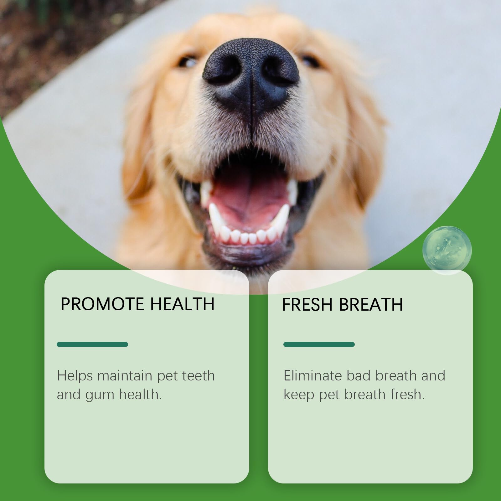 Polvo dental para perros para la limpieza dental, polvo para el cuidado dental de perros, polvo para limpieza dental sin cepillo, control de placa y sarro con probióticos, sabor a menta. (8 Cajas)