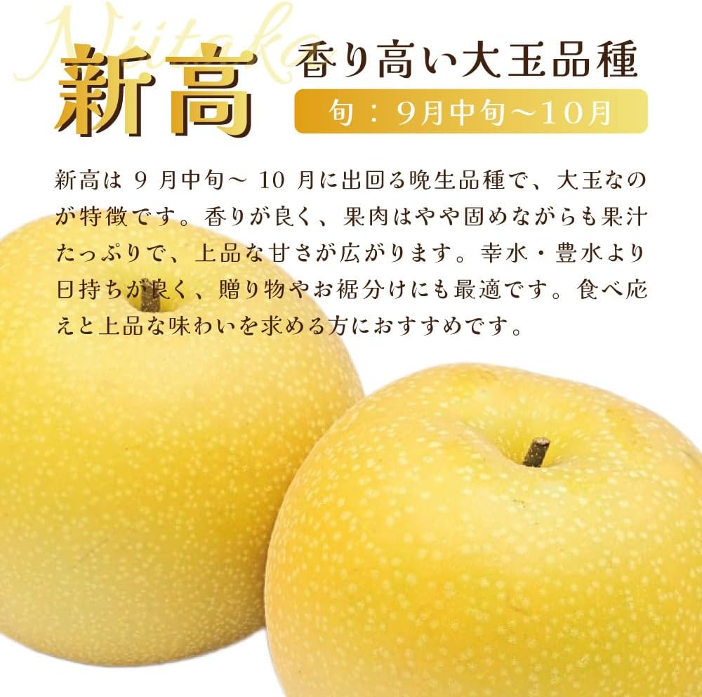 梨 新高梨 10玉を2箱 06 梨 新高梨 10玉を2