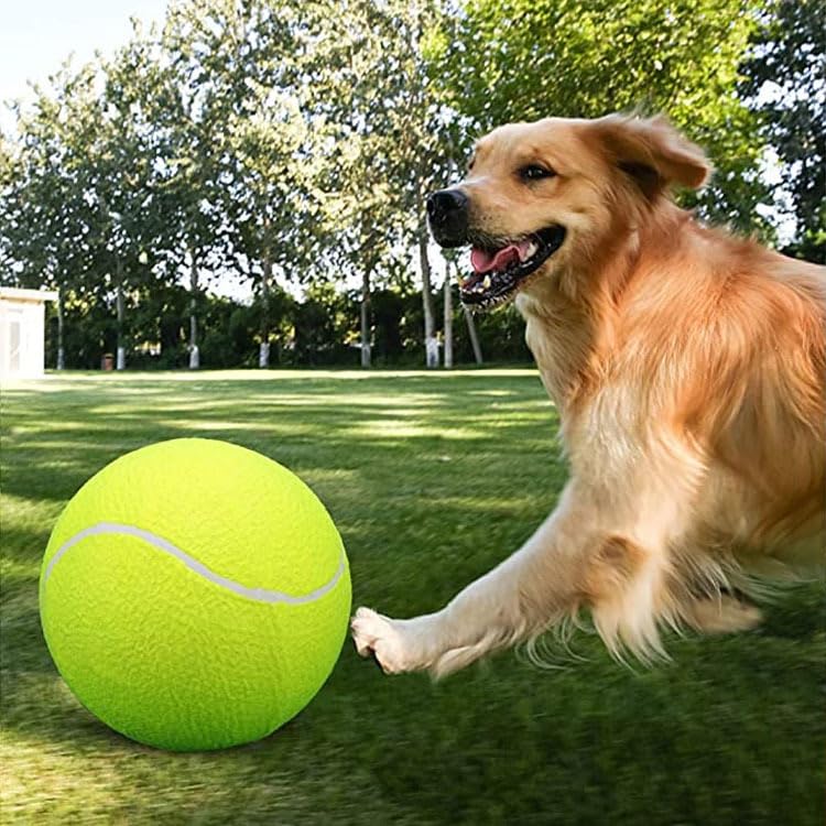Palline da tennis gonfiabili con pompa per cani Palline da tennis gonfiabili con pompa per cani