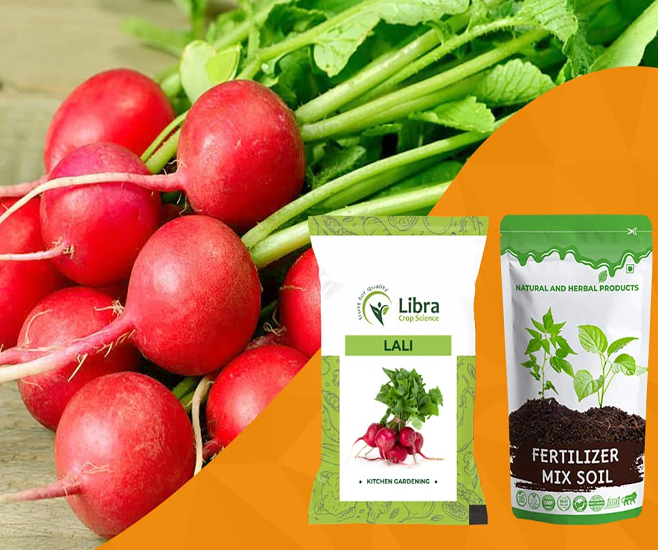 Red Radish Seeds Hybrid | Home | Garden | Farming | Vegetable | Kitchen | Planting | Terrace | Balcony | Eating | Mula | Mulia | Mooli | Muli | Mullangi | Red Mooli - 10 Gram : 1762 Seed (B0B2W6YJZC) Amazon Price History, Amazon Price Tracker