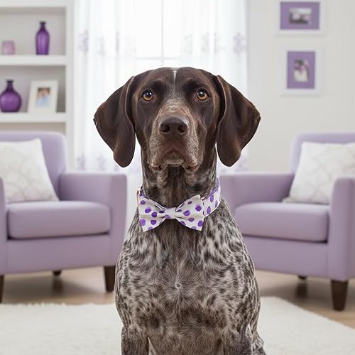 Miniatura 58 de PETDURO Collar de perro personalizado con nombre y teléfono grabado en hebilla de metal – Personalizado para perros medianos y grandes – Impresiones