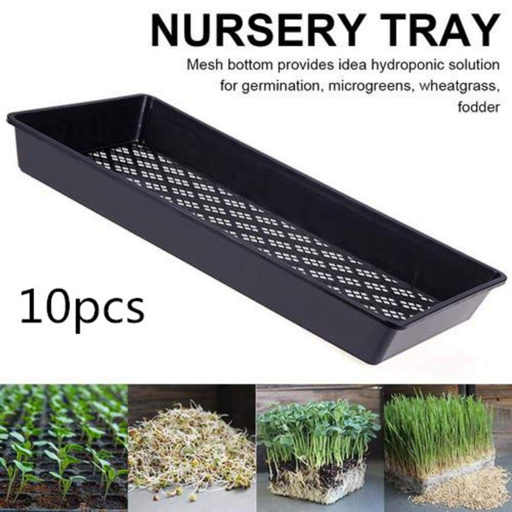 Buy 10 Pack Seedling Tray Seed Starters Growing Trays, Extra Strength