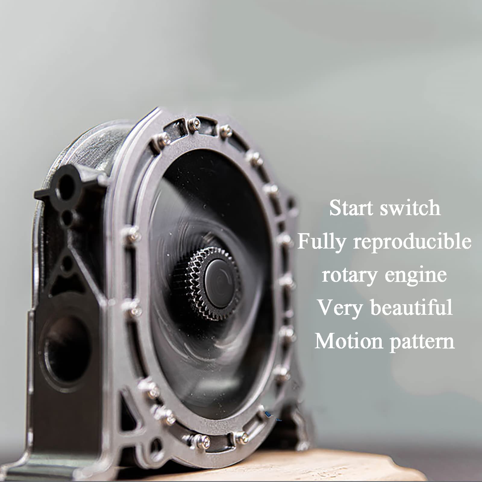 Modello di Motore Rotativo da 600 RPM, Modello di Motore Elettrico DIY | Kit Modello di Motore in Metallo, Acciaio Inox e Legno Massello, Modello Didattico per Appassionati di Tecnologia, Adulti e R