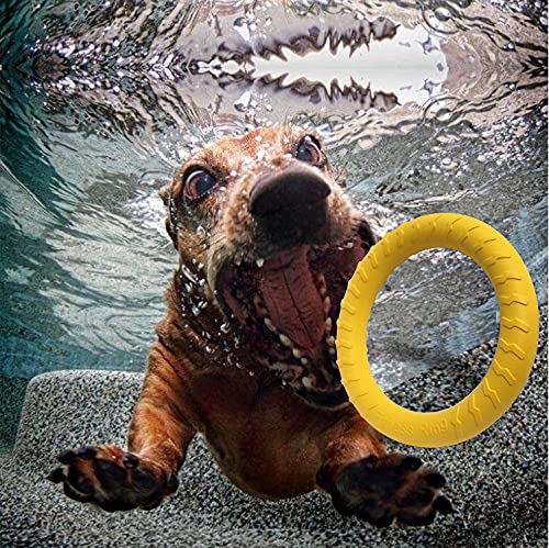 MMSGA Fitness-Ring für Hunde, Outdoor-Spiel Agility Trainingsgerät, Interaktiver Trainingsring für Kleine, Mittelgroße und Große Hunde (Gelb, 30CM)