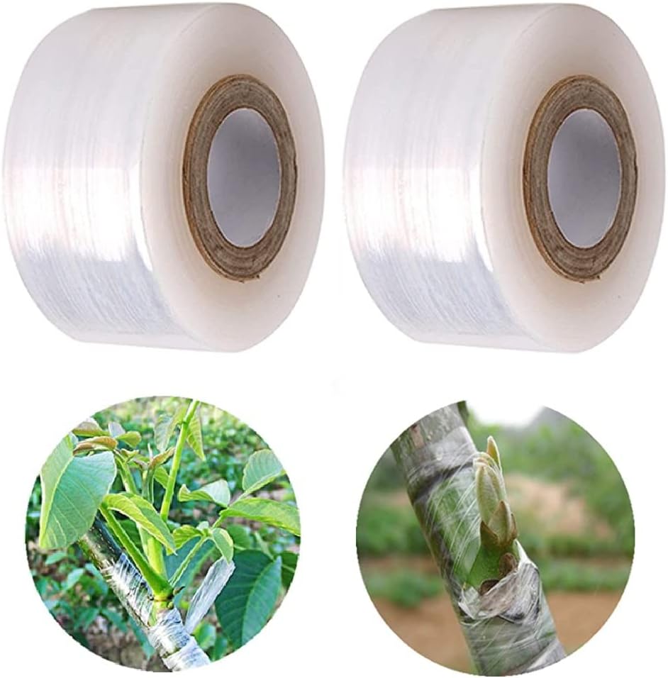 2cm100m Grafting Tape Stretchable Self-adhesive Film Plant Tree Seedling Nurse E - Foto 5