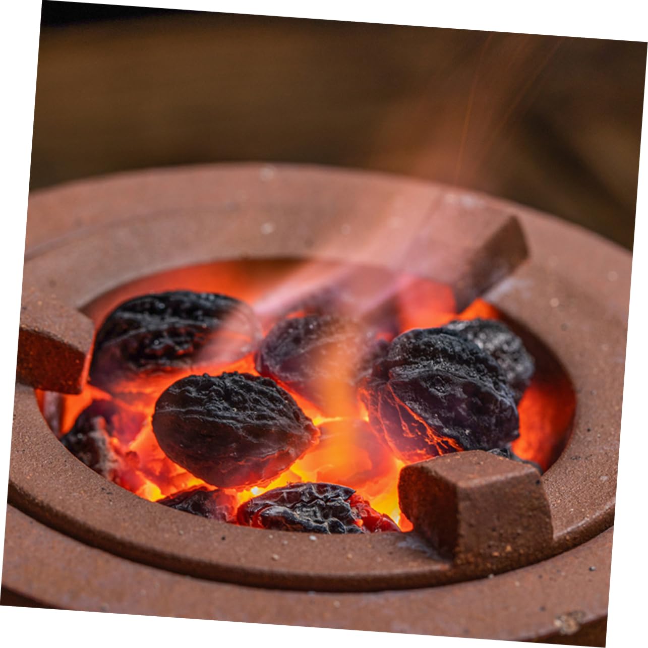 Carboncino per Grigliare, 500g Sacchetto Nero per Campeggio, Bush Craft e Cucina Esterna