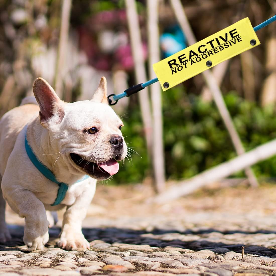 JXGZSO Reactive Not Aggressive Do Not Pet Dog Leash Sleeve Reactive Dog Leash Wrap (Reactive N Aggressive DLS)