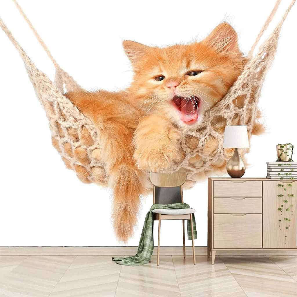 Papier peint photo chaton 3D jaune 400x280 cm pour deco murale salon et chambre