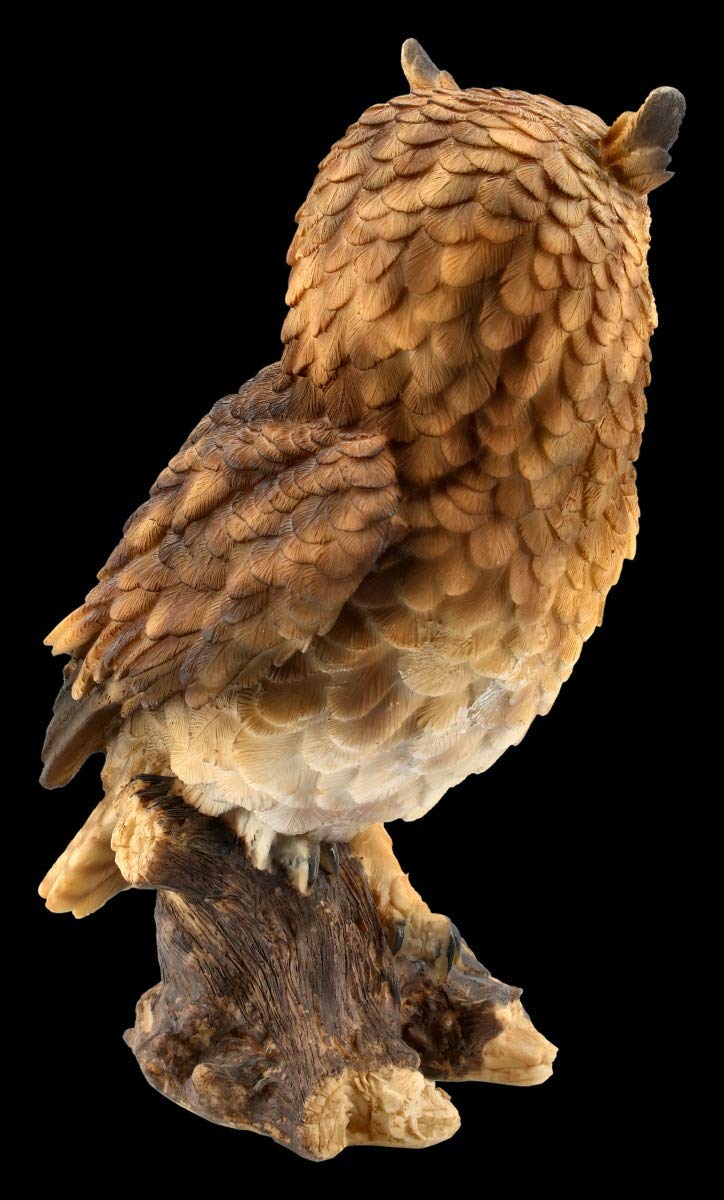 Figuren shop gmbh Gufi Statuetta - Gufo Comune Grande Vogel-Figur, Figura-Decorativa, Articolo Decorazione, Statua, Scultura, H 26 CM