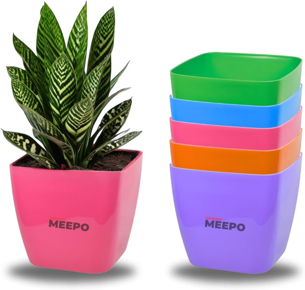 Square Flower pots planters Multicolor Table top Small pots (Multi) | Plastic Plant Pot for Garden Home & Office(Pack of 5)