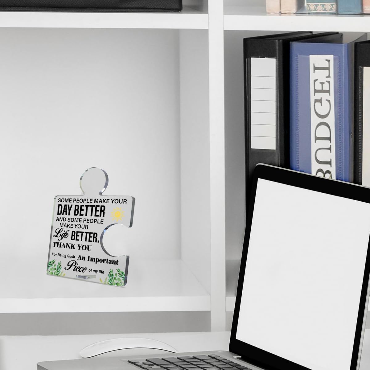 Thank You Gifts for Women Men Coworkers, Friendship Gift Goodbye Farewell Leaving Gifts for Coworkers Co Workers Some People Make Your Day Better Acrylic Puzzle Piece Plaque Sign Office Desk Decor - Image 5