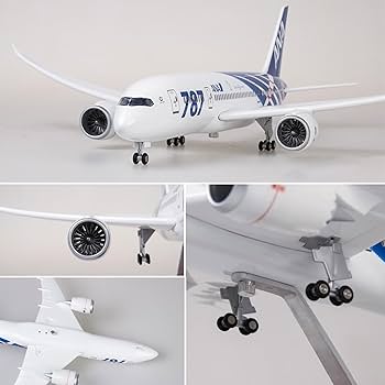 Amazon.co.jp: 16.9 インチ 1:130 スケールモデル飛行機 ANA B787