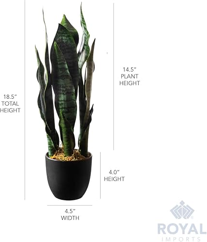 Miniatura 6 de Royal Imports Planta artificial de hoja Sansevieria, planta de serpiente realista, árbol de lengua de imitación de suegra, verde oscuro en maceta