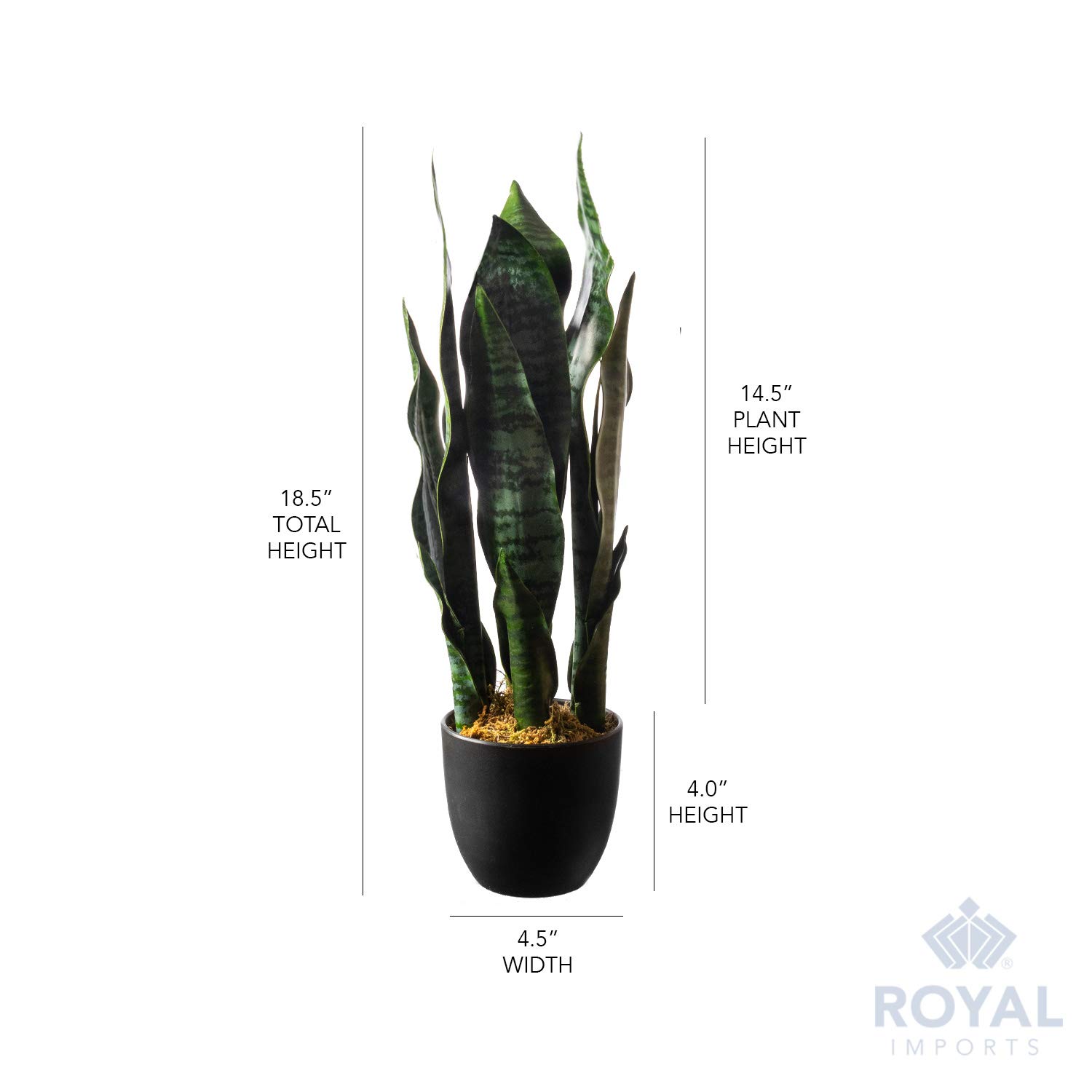 Royal Imports Plantas artificiais Sansevieria Leaf Snake Plant