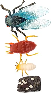 Angoily 1 Conjunto Modelo De Ciclo De Crescimento Brinquedos Educativos Para Crianças Artesanato Para Crianças Brinquedos De Aranha Estágios De Vida Figuras Ciclo De Vida Estatuetas De