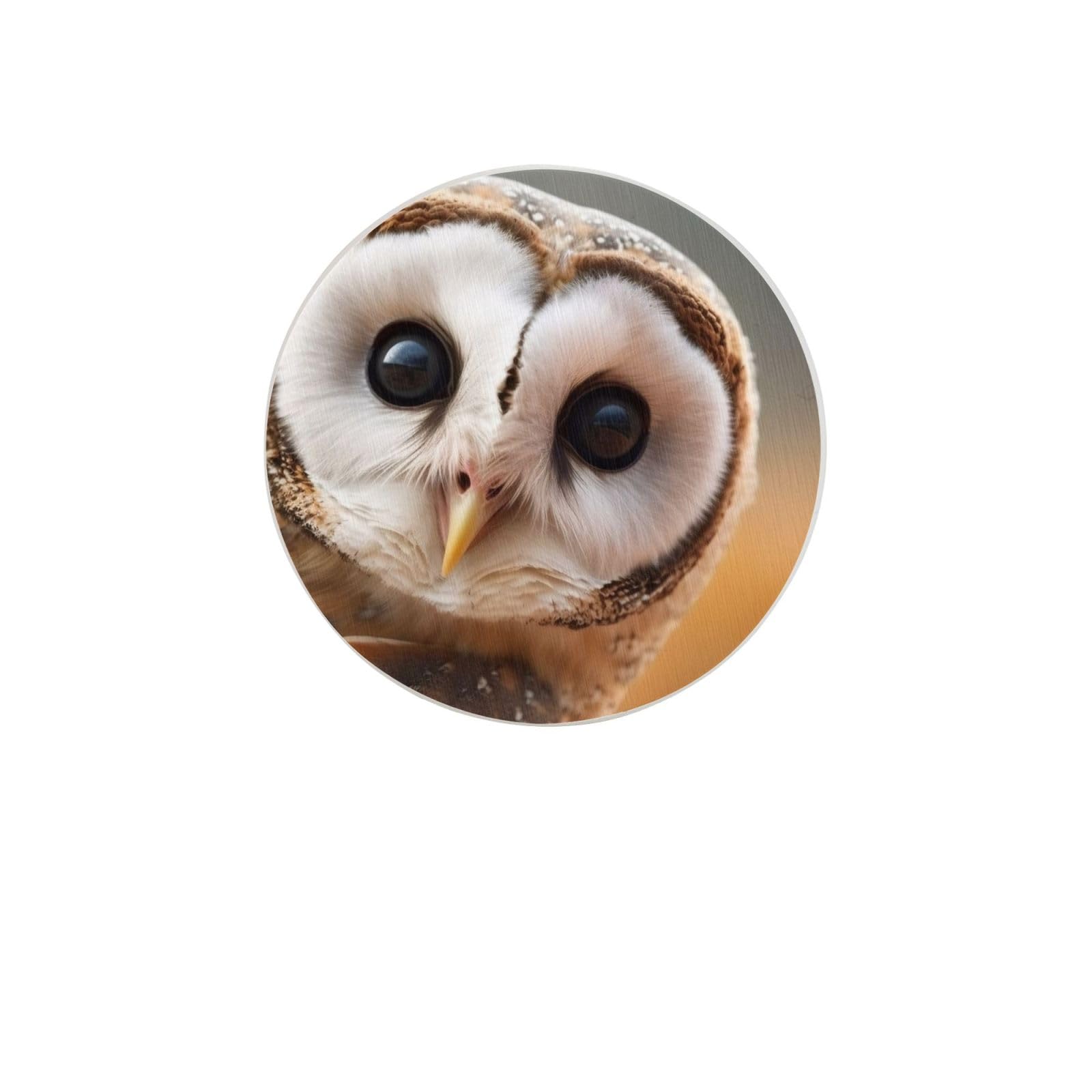 Funny Owl Absorbent Drink Coasters Diatomaceous Round Coaster 4 Inch Reusable Cup Coasters Set 4pc