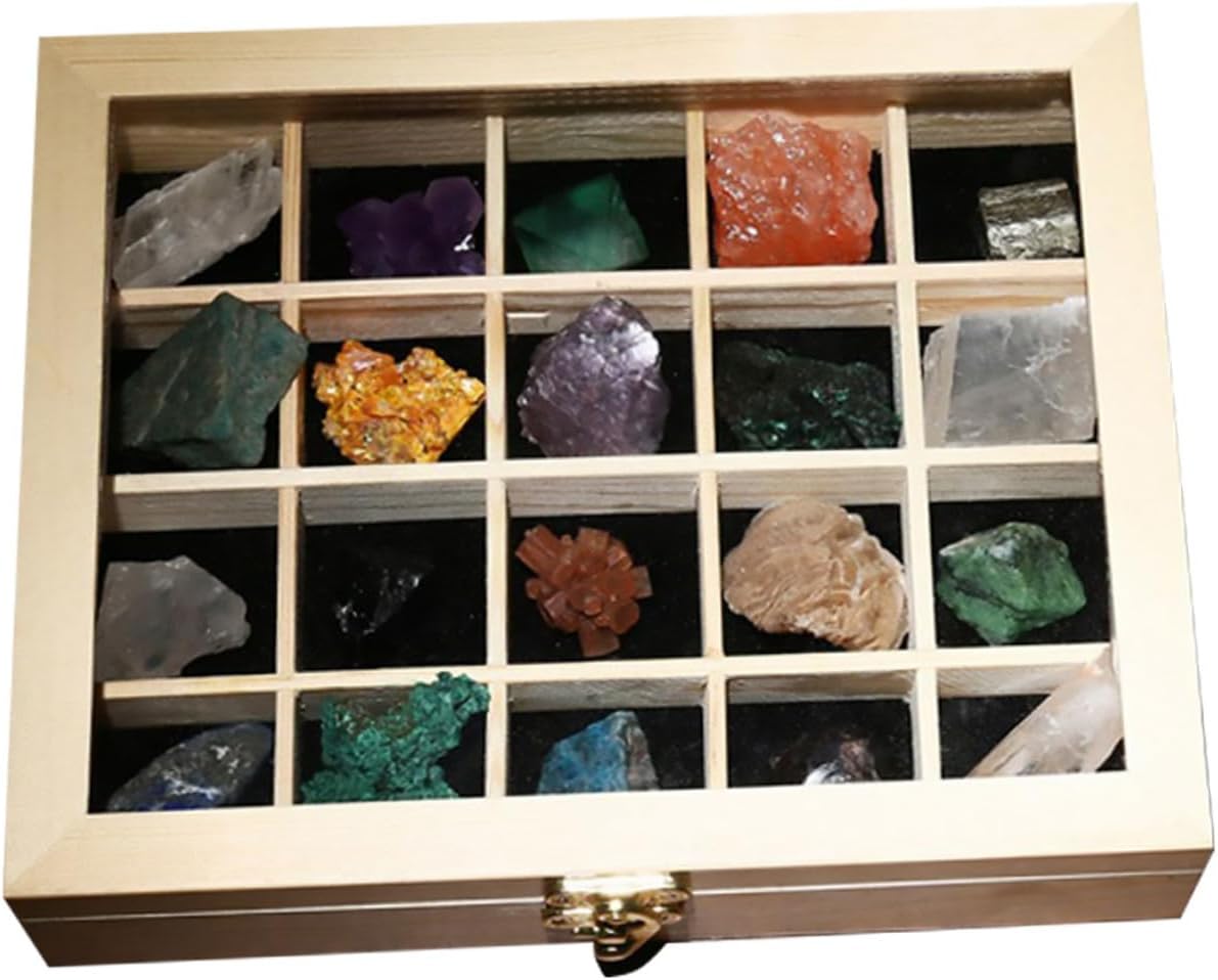 SAFIGLE 20pcs Minerals Crystals Natural Ore Stones Sample Box Rocks and Crystals