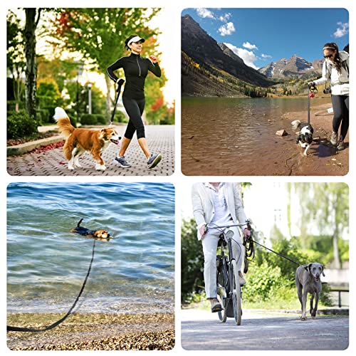 Guinzaglio per Cani 10m Guinzaglio da