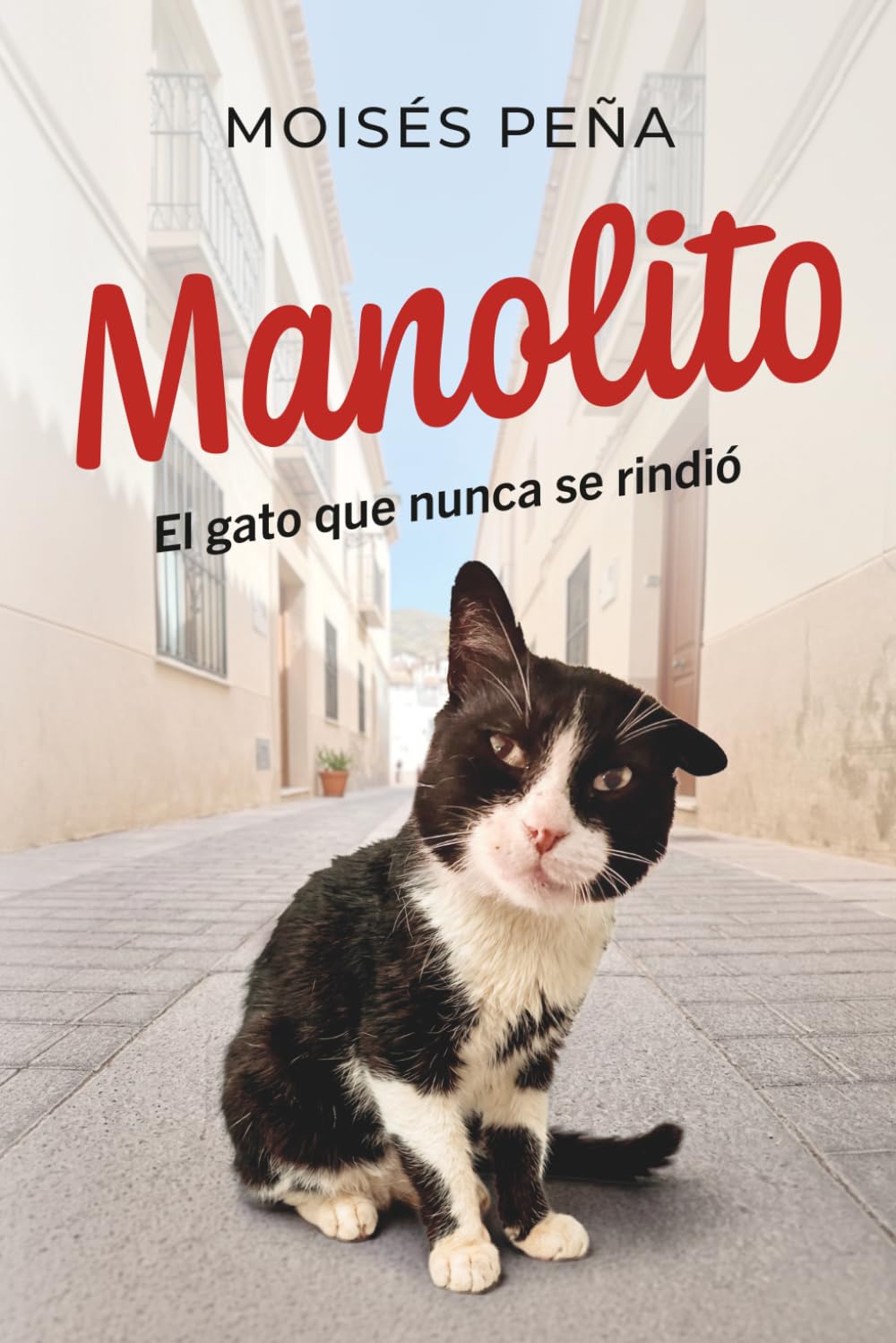 Manolito (el gato que nunca se rindio).