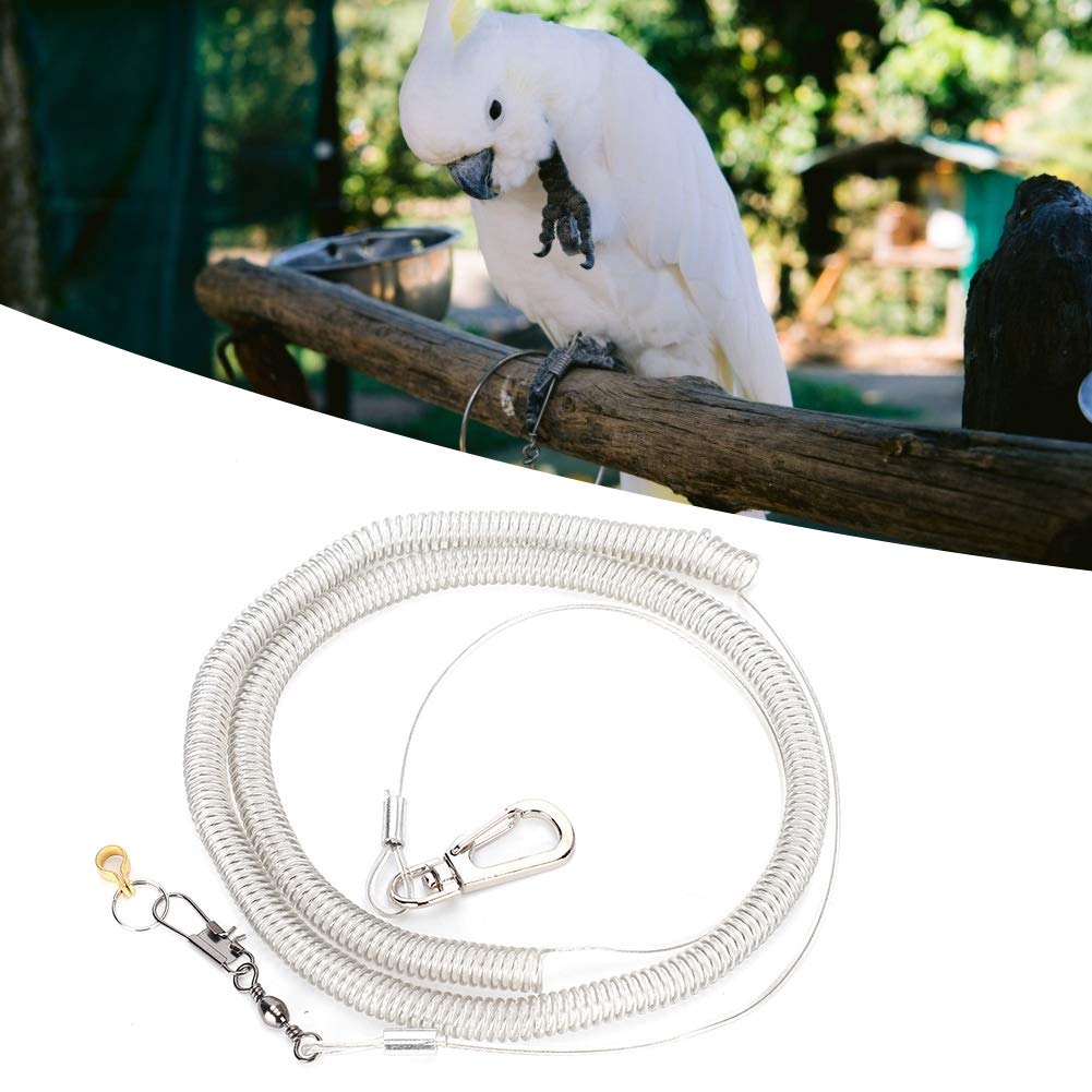 GLOGLOW Vogelgeschirr Mit Leine - Verstellbares Flugtrainingsset Für Papageien & Sittiche