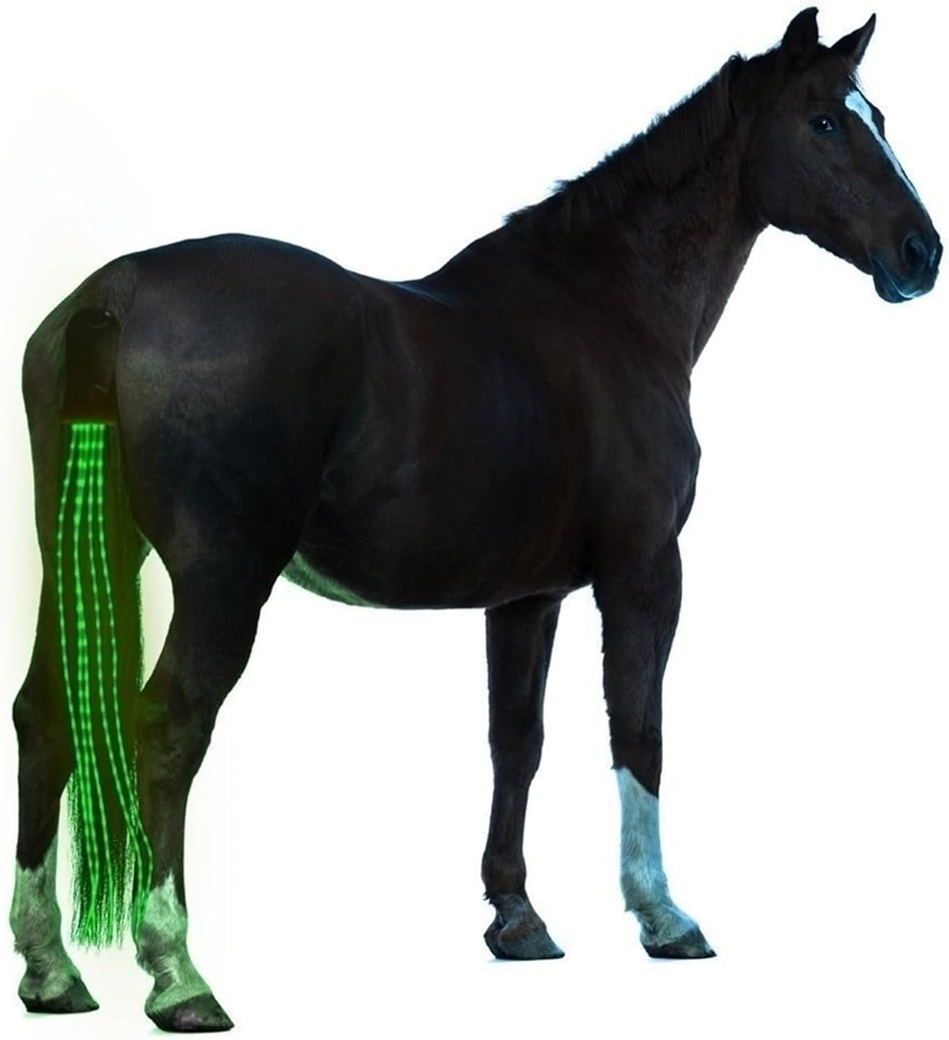 NOVSKI Horse Reflective Article- USB Rechargeable Lights Horse Tail, LED Lighting Luminous Hi-Viz Equestrian Safety Gear Horse?Christmas Horse Riding Decoration (Size : 100cm Green)