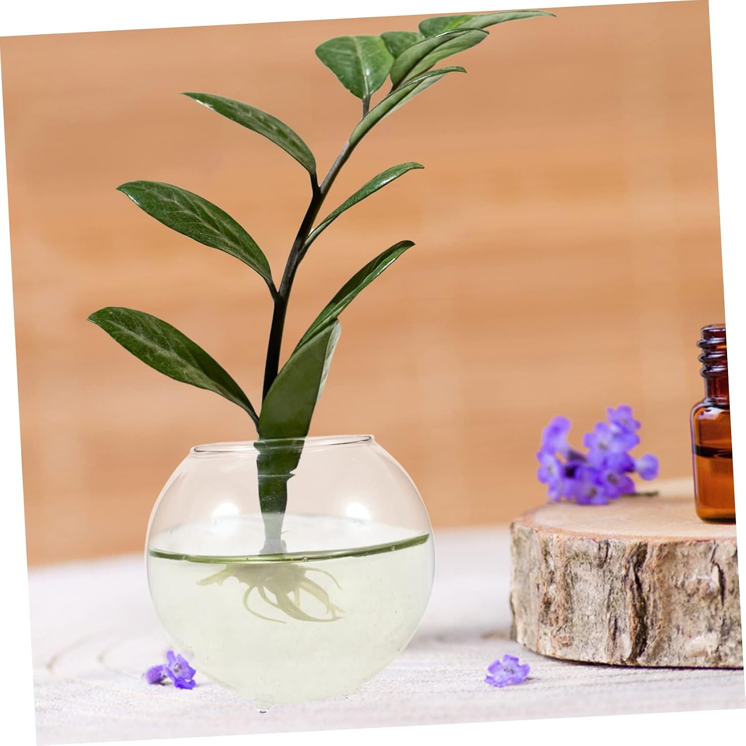 Desktop Terrarium Fish Bowl Multi-Function Betta Bowl for Decor Transparent Design for Aquatic Ecosystems and Decorative Plants