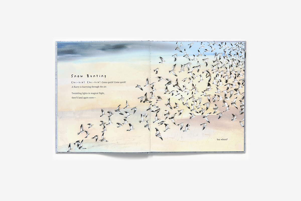 Snow Birds: 1