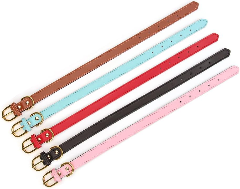 Aolove Basic Classic Padded Leather Pet Collars for Cats Puppy Small Medium Dogs (Brown, X-Small) : Pet Supplies