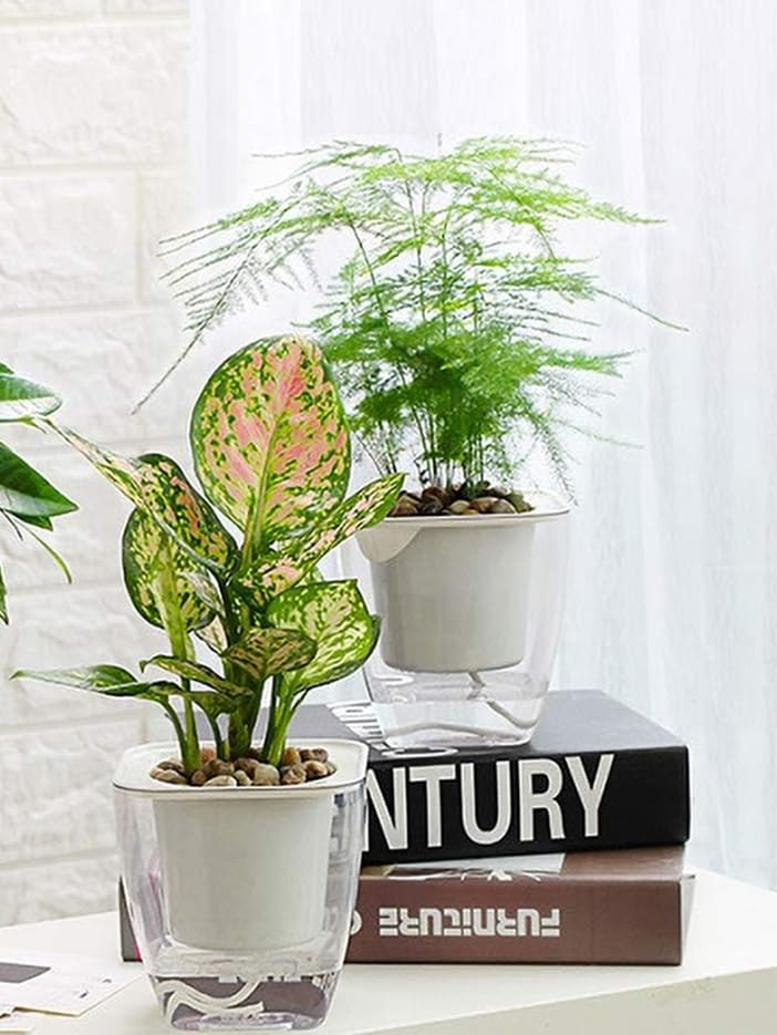 Onto Clear Self Watering Planters Large Plastic Plant Pots Wick Flower Pots for Indoor Plants,Size-5 inches, Clear and Color White, Pack of 2 (B0CHMQC248) Amazon Price History, Amazon Price Tracker