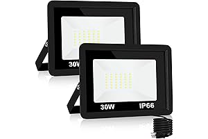 30W LED Flood Light Outdoor, Work Light Pack of 2 with Plug