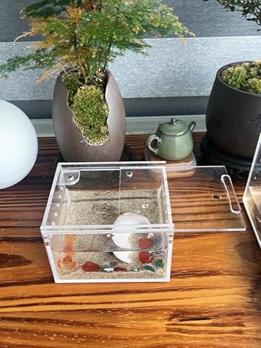 Awxzom SDFSDF Insect Breeding Box Reptile Feeding Box, Waterproof Enclosure Enclosure For Arboreal Tarantula Scorpion Sling Lizards Snake Gecko Jumping Spider Snail Isopods thumb #1