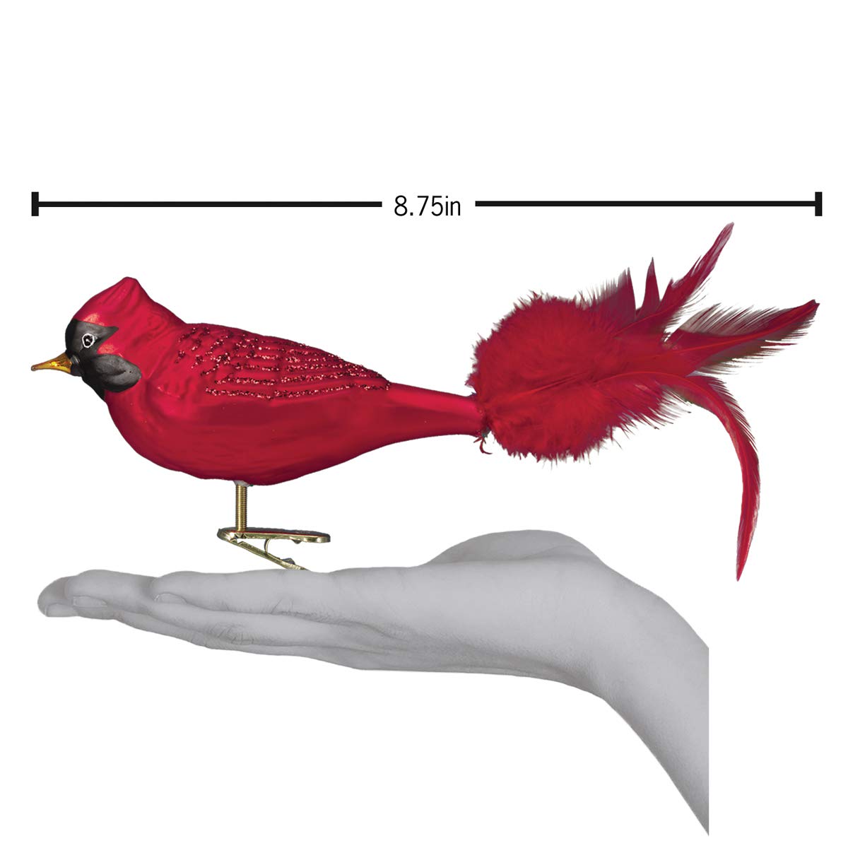 Old World Christmas Adorno Grande de Cristal soplado Cardenal Rojo