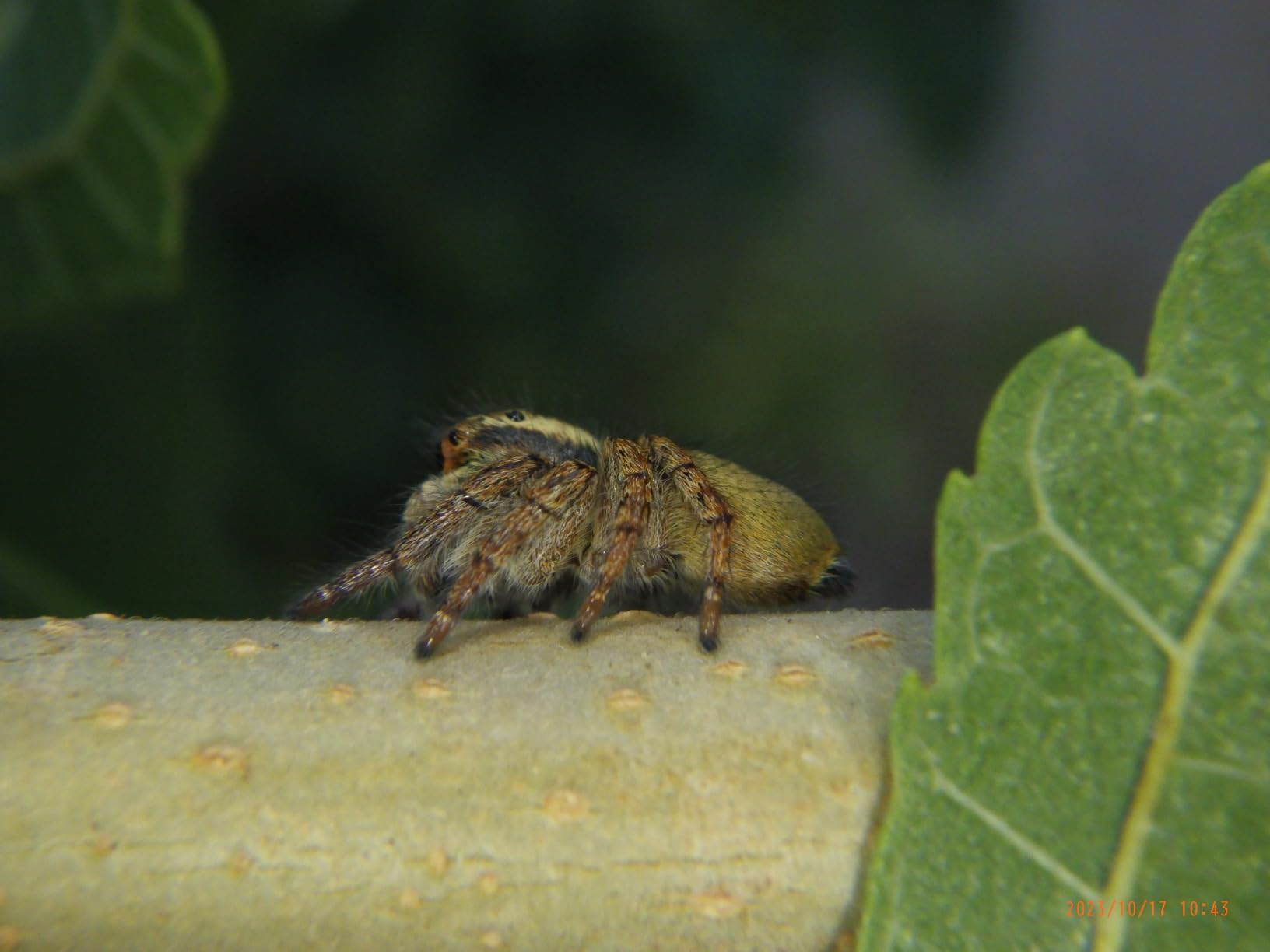 お客様イメージ