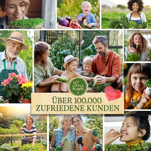 Little Plants Bio UR-Brokkoli Sprossen Samen [250g] - UR-Brokkoli-Samen mit über 95% Keimfähigkeit - UR-Brokkolisprossen & Microgreens zum Keimen (inkl. Ebook)