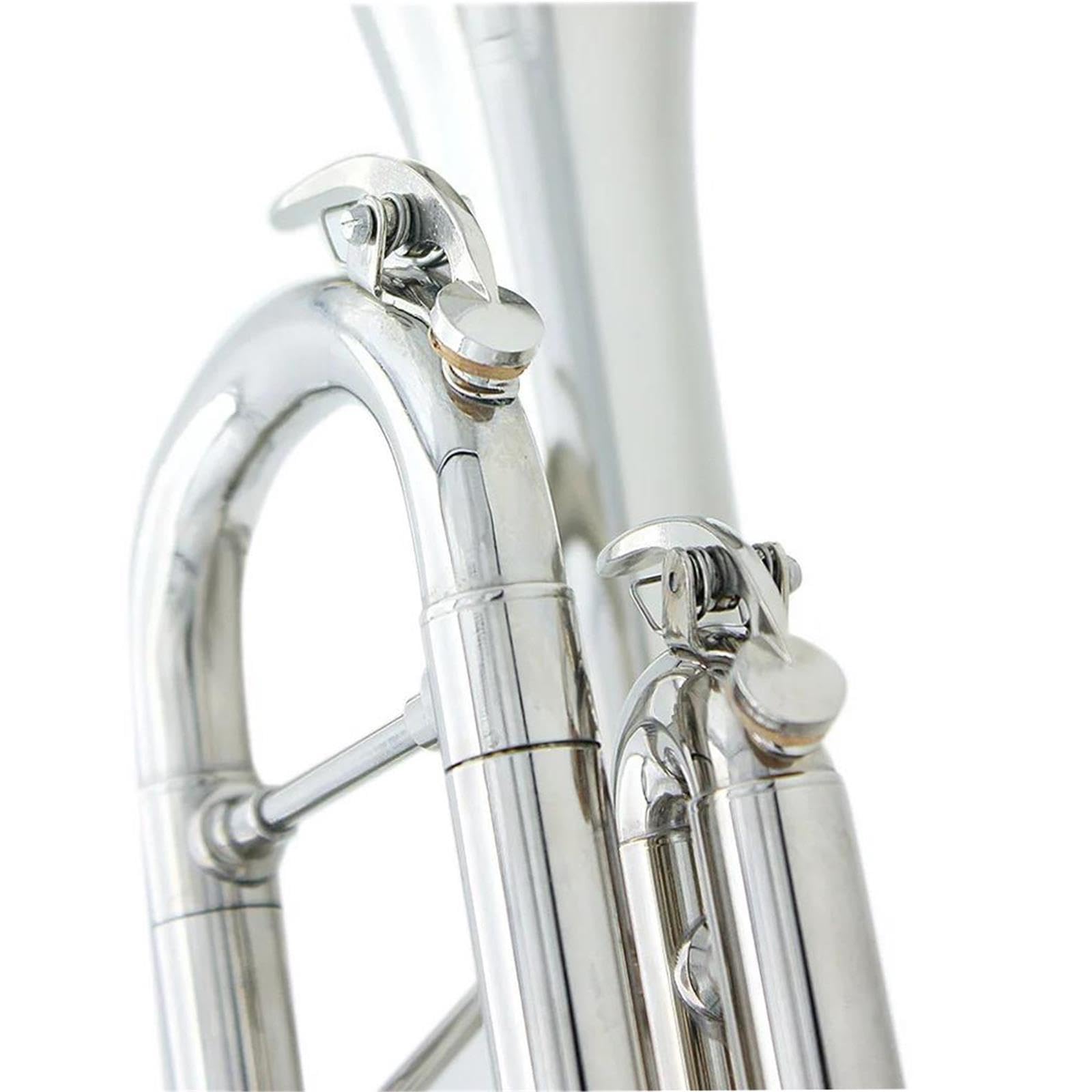 Standard Trumpet Profesjonalna trąbka Bb
