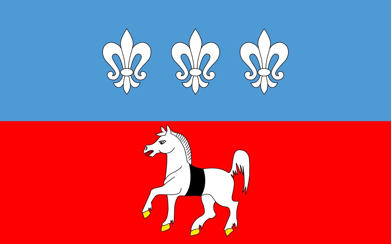 Drapeau Krasocin grand format officiel de la gmina polonaise