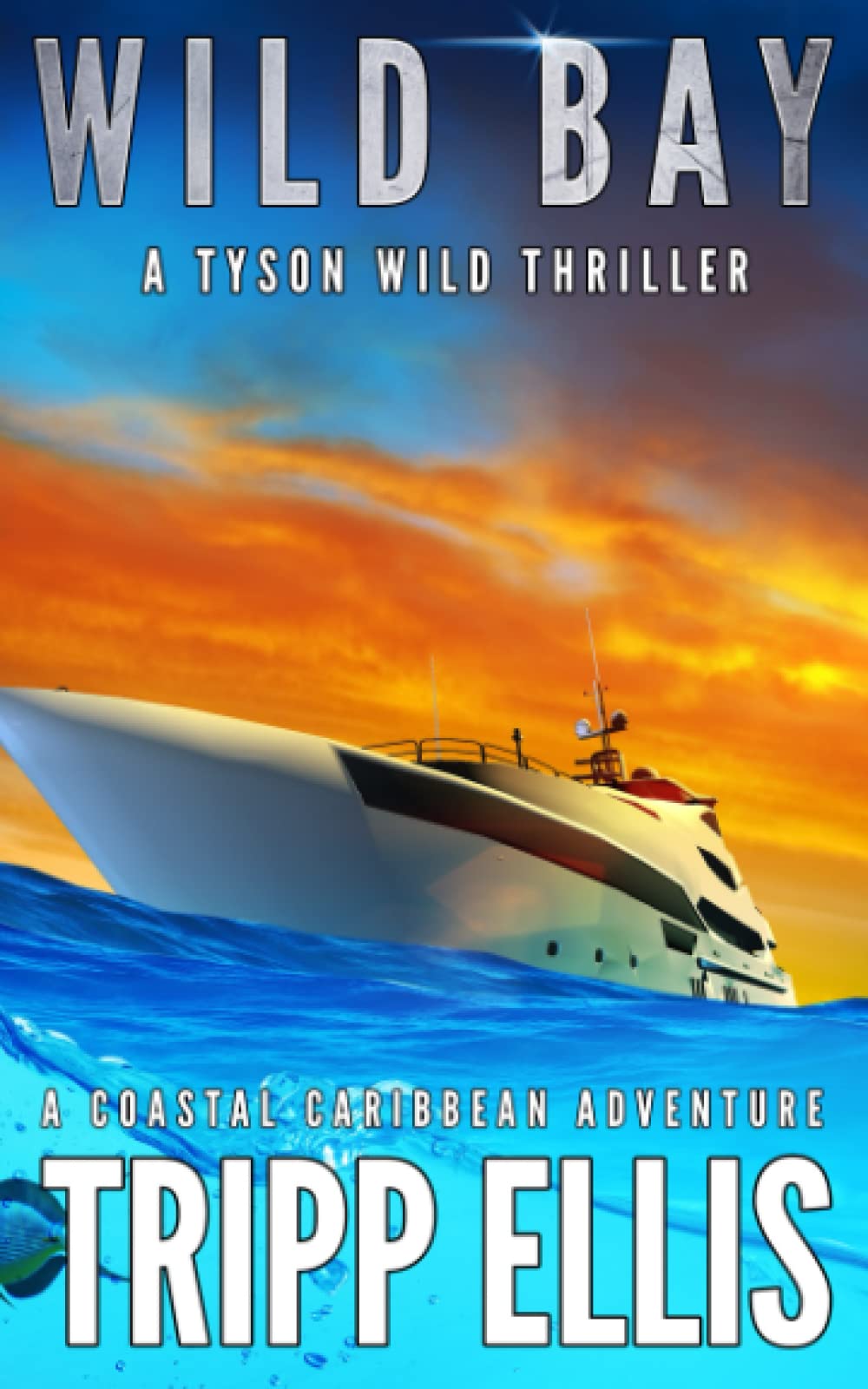 Independently published Wild Bay: A Coastal Caribbean Adventure