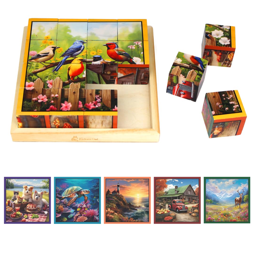 Radiant Owl 16-Piece