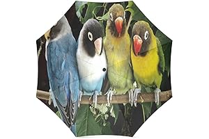 Custom Compact Travel Parrot Umbrella