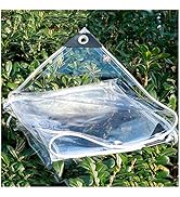 GOEDCH Transparente Abdeckplane 2x3m Wasserdicht - PE Plane Mit Ösen Für Garten & Camping