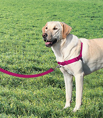 PetSafe Easy Walk-Geschirr, Anti-Zieh-Hundegeschirr, Verringert Würgen und Husten, Mit 1,8 M Leine, Größe L, Rosa