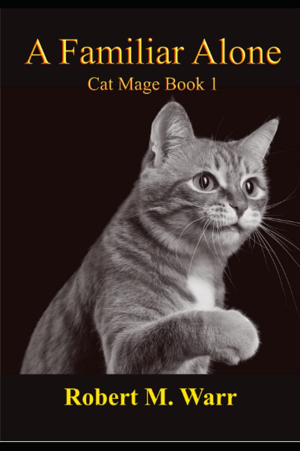 A Familiar Alone (Cat Mage)