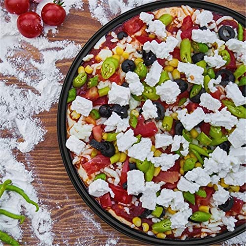 Teglia per Pizza con Fori 10 Pollici Pizze Teglia per Frutta e Verdura Teglia Antiaderente Teglia per Torta Professionale per Forno 2 Set
